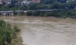 男子婚礼当天跳河身亡，家属：结婚前一天从女方家里回来后情绪不佳，两人恋爱多年因领证多次发生矛盾