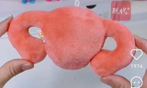 沪上阿姨送子宫形玩偶引争议，确实无须太过敏感