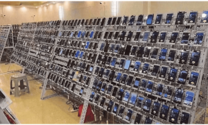 柬埔寨大型“杀猪盘”被端，美国没收电诈头目近13万枚比特币