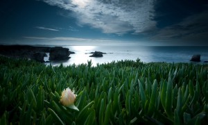 易经55卦:丰卦详解