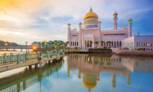 原创 
            分属国家最多岛屿:亚洲加里曼丹岛,由马来西亚、文莱和印尼共享