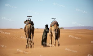 原创 
            不怕吃苦,就怕没钱的星座