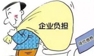 事关青海人的社保费,大变化!