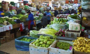 宋清辉:未来通胀风险处于可控 市场不必担忧通胀大幅上升