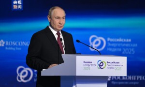 普京:全球能源关系正在重塑