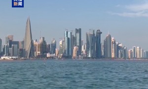 巴基斯坦和阿富汗同意立即停火