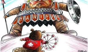 加拿大被杀鸡儆猴了