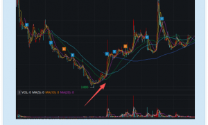 2025年港股通现异常纳入:陆控停牌叠加财务风险仍入通 因持续停牌幸未引南向资金买入