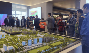 上半年全国税收下降5.6%:个人所得税降,房产税增两成